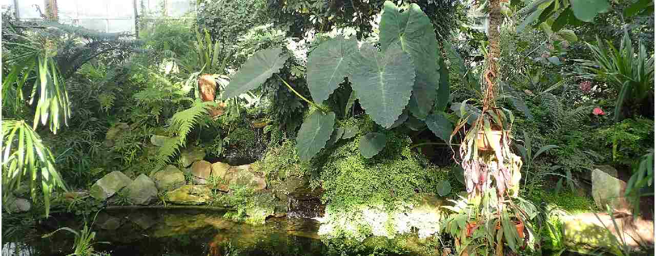 Ogród Botaniczny Uniwersytetu Warszawskiego