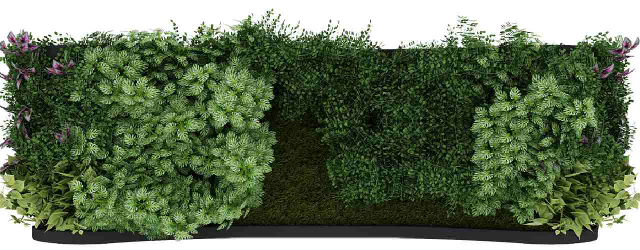 Zielona ściana zamiast betonu